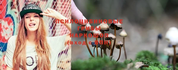 прущий лед Медногорск