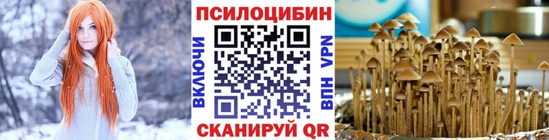 Галлюциногенные грибы мицелий  как найти   Юрюзань 